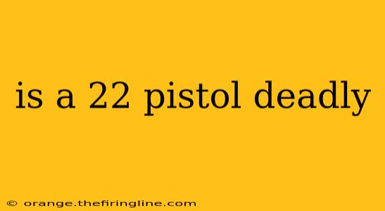 is a 22 pistol deadly