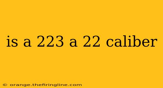 is a 223 a 22 caliber