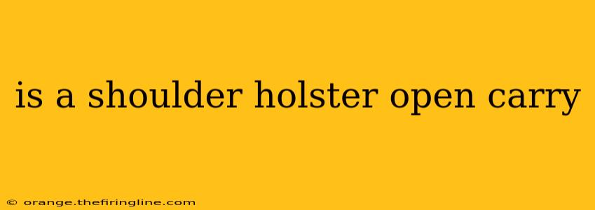 is a shoulder holster open carry