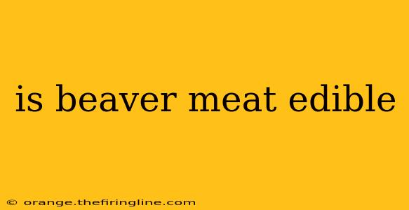 is beaver meat edible