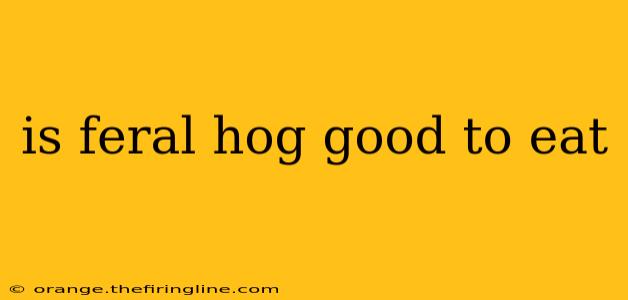 is feral hog good to eat