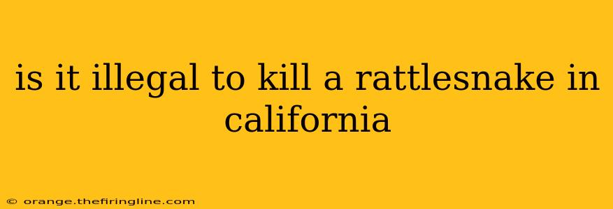 is it illegal to kill a rattlesnake in california