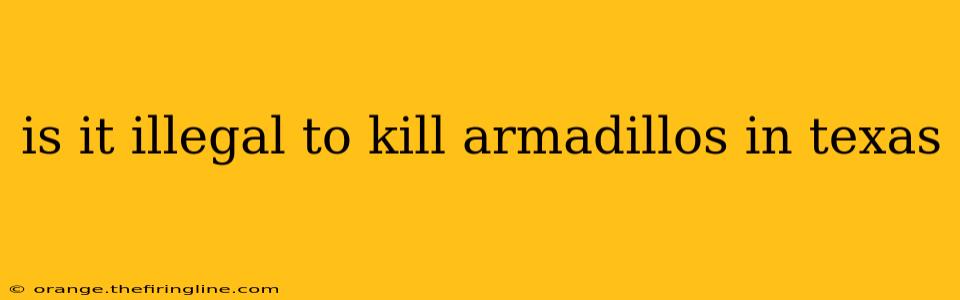 is it illegal to kill armadillos in texas