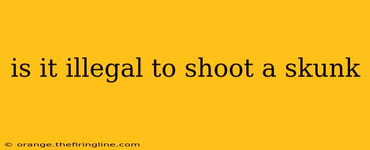 is it illegal to shoot a skunk