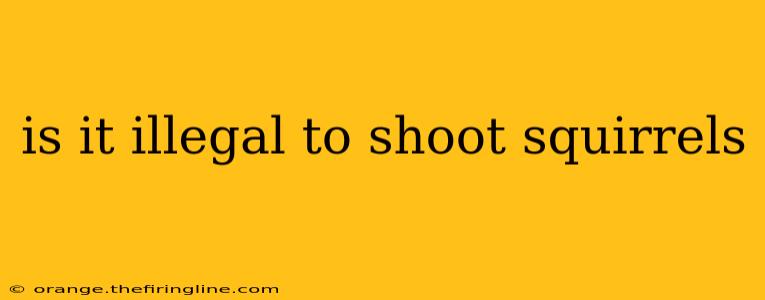 is it illegal to shoot squirrels