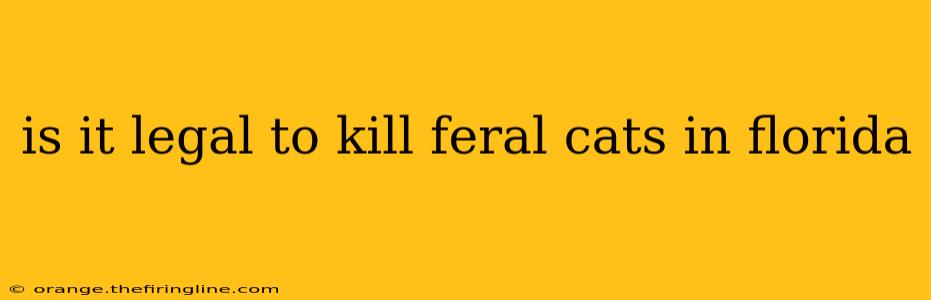 is it legal to kill feral cats in florida