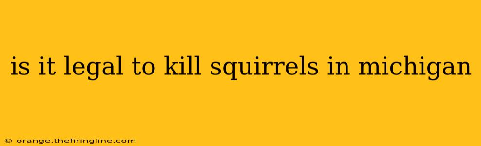 is it legal to kill squirrels in michigan