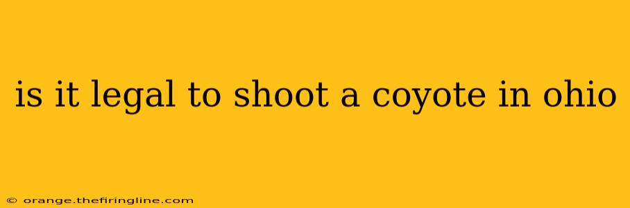 is it legal to shoot a coyote in ohio