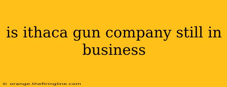 is ithaca gun company still in business