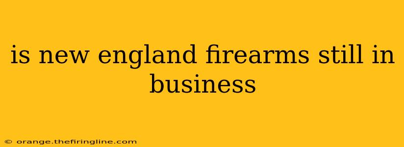 is new england firearms still in business