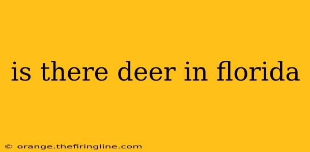 is there deer in florida