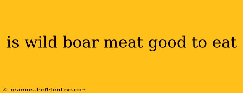 is wild boar meat good to eat