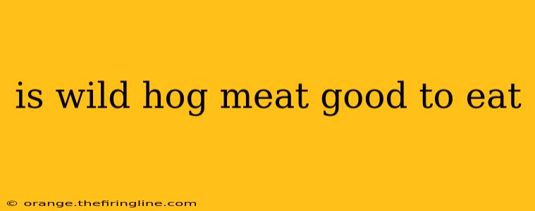 is wild hog meat good to eat