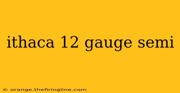 ithaca 12 gauge semi