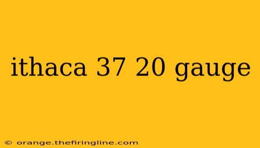 ithaca 37 20 gauge