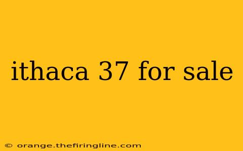 ithaca 37 for sale