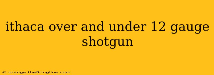 ithaca over and under 12 gauge shotgun