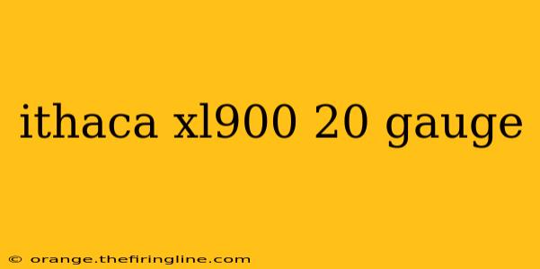 ithaca xl900 20 gauge