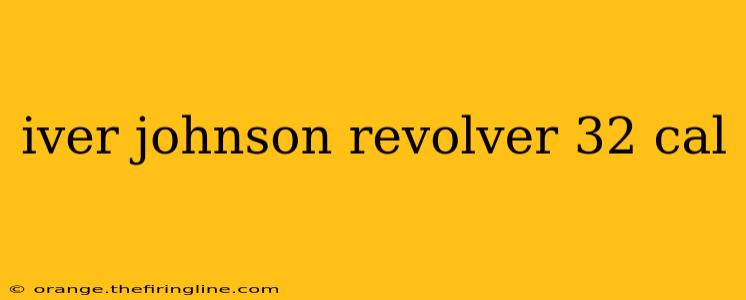 iver johnson revolver 32 cal