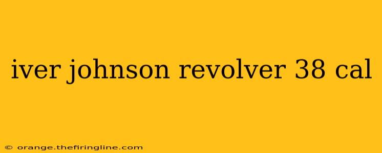 iver johnson revolver 38 cal