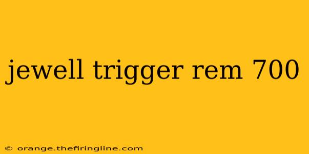 jewell trigger rem 700