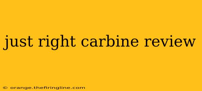 just right carbine review