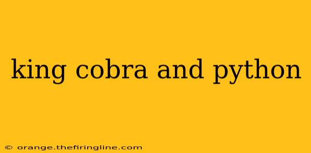 king cobra and python