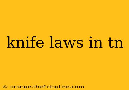 knife laws in tn