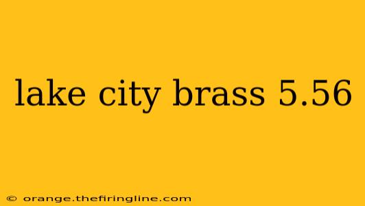 lake city brass 5.56