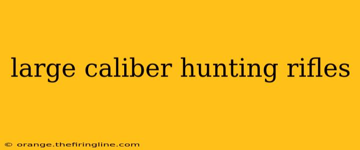 large caliber hunting rifles