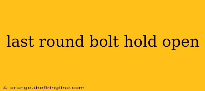 last round bolt hold open