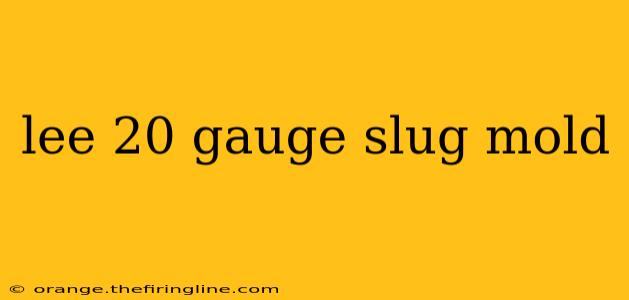 lee 20 gauge slug mold