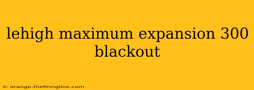 lehigh maximum expansion 300 blackout