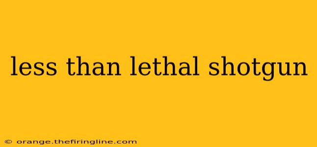 less than lethal shotgun