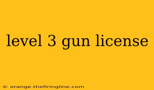 level 3 gun license