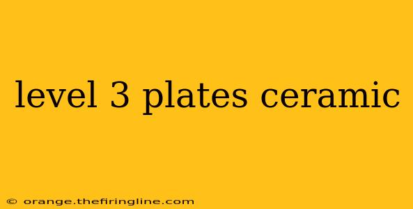 level 3 plates ceramic