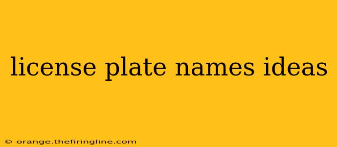 license plate names ideas