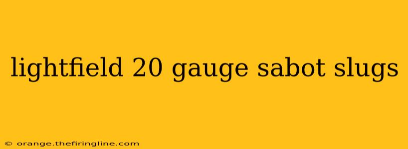 lightfield 20 gauge sabot slugs