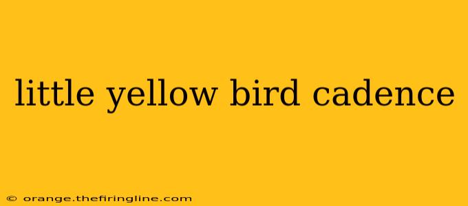 little yellow bird cadence