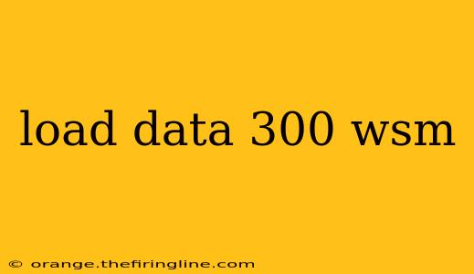 load data 300 wsm