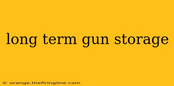 long term gun storage