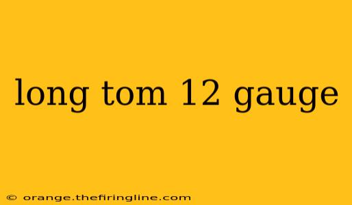 long tom 12 gauge