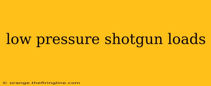 low pressure shotgun loads