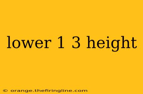 lower 1 3 height