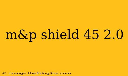 m&p shield 45 2.0