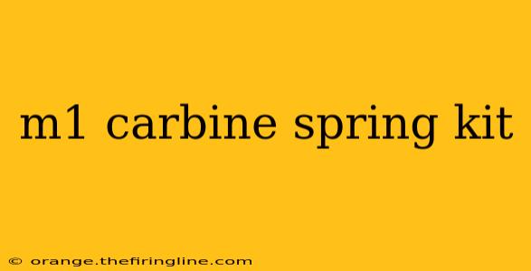 m1 carbine spring kit