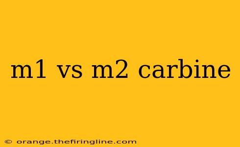 m1 vs m2 carbine