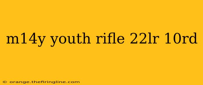 m14y youth rifle 22lr 10rd