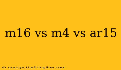 m16 vs m4 vs ar15