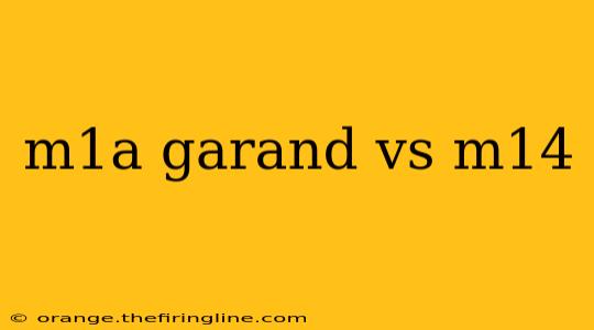 m1a garand vs m14